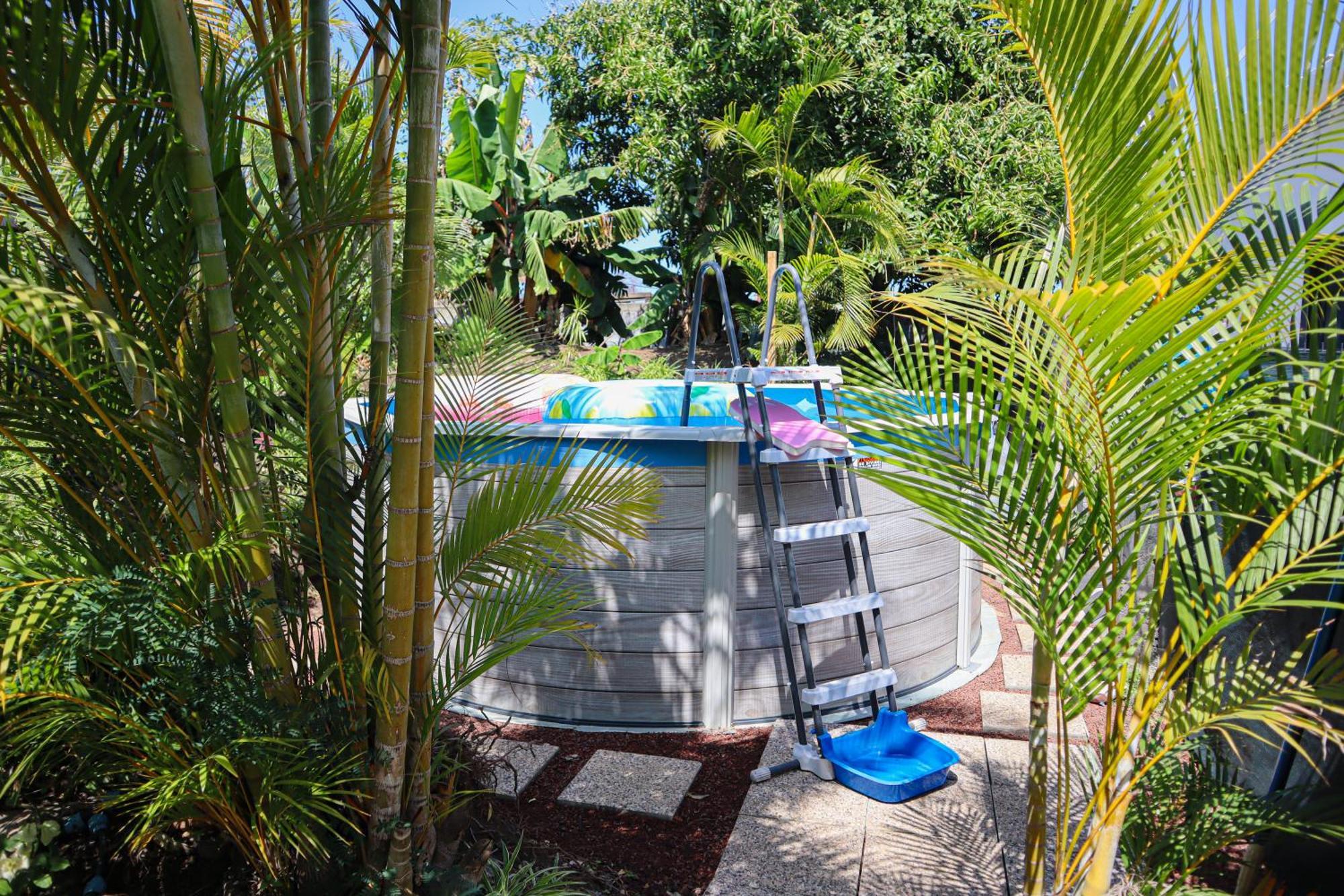 Eclats D'Etoiles - Rooftop - Piscine - By Sister Home سانت بيير المظهر الخارجي الصورة